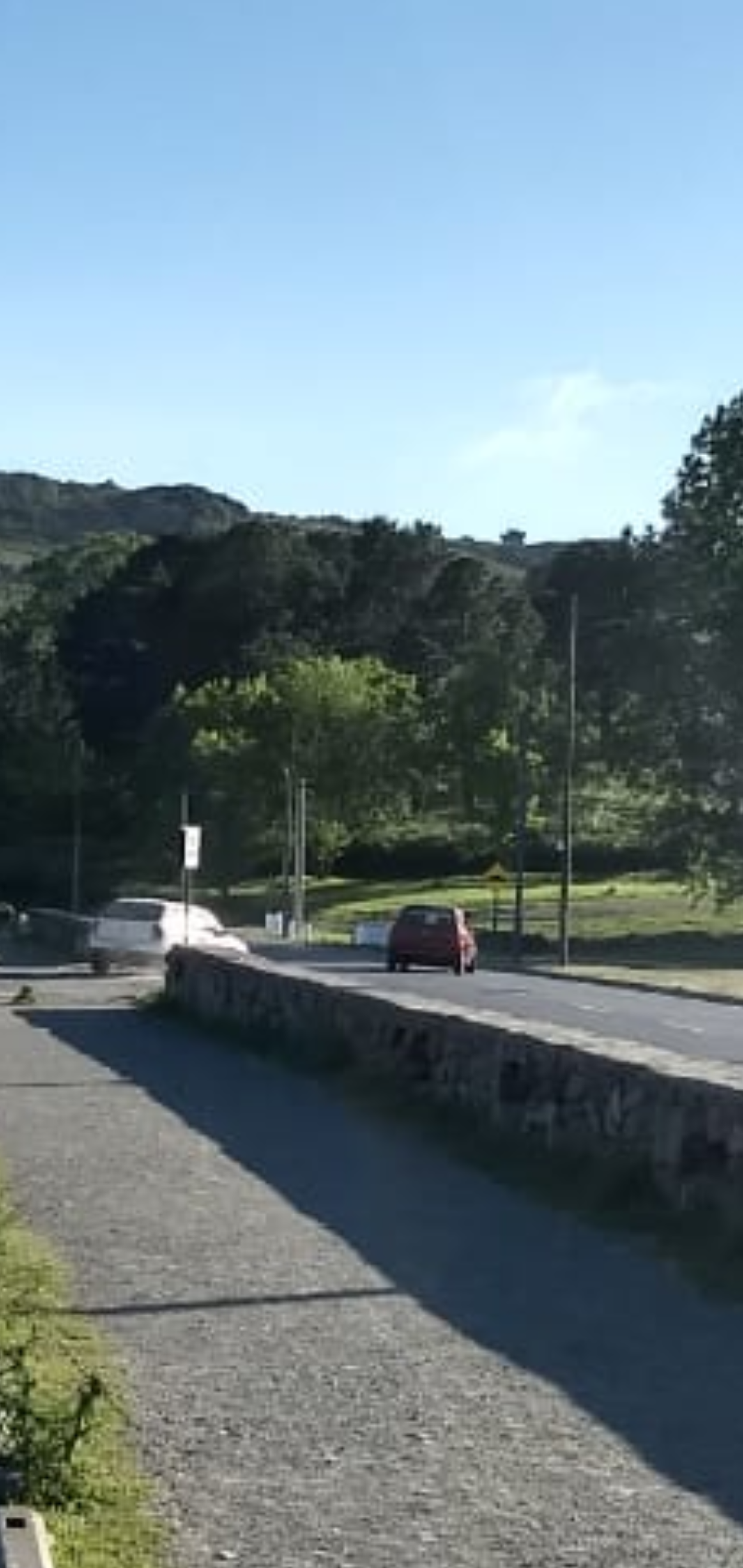 Picadas en el Dique