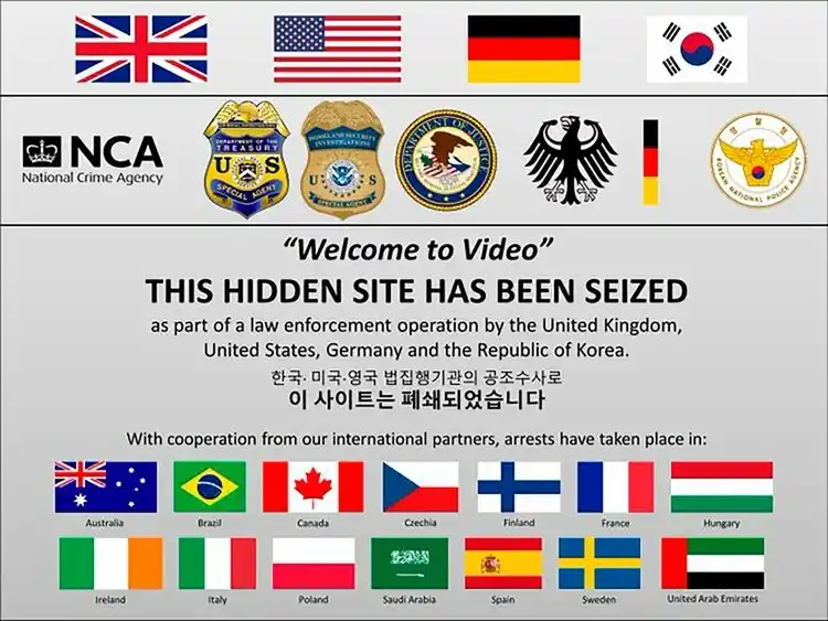 Desmantelaron la mayor red de pornografía infantil en internet
