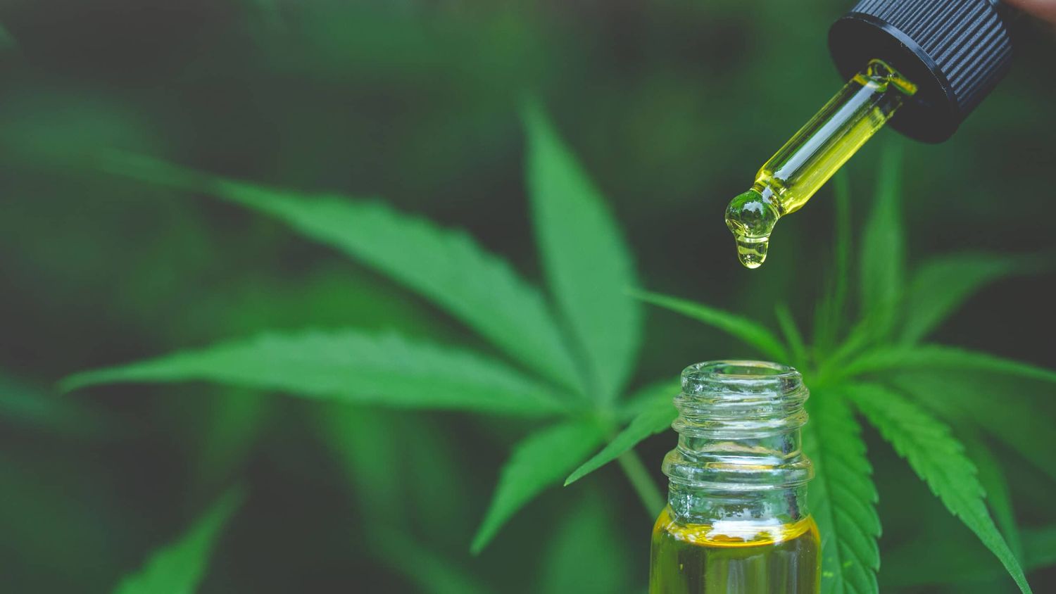 Cannabis medicinal: De la prohibición a la producción industrial y la salud