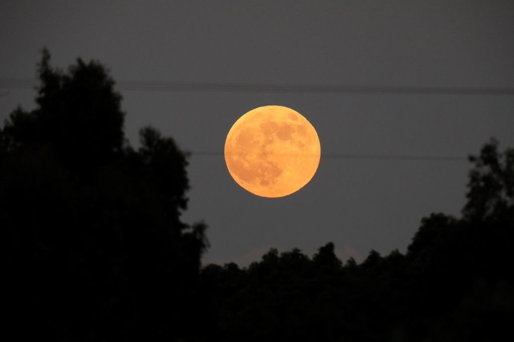 Video: observá en directo el eclipse parcial de luna más largo del siglo