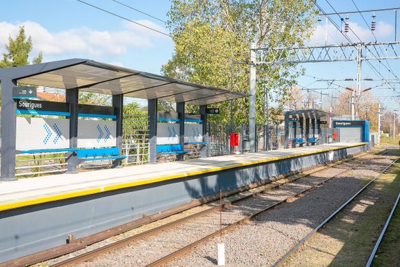 Tren Roca no circulará entre Berazategui y Bosques por obra de vías hasta el 31 de agosto