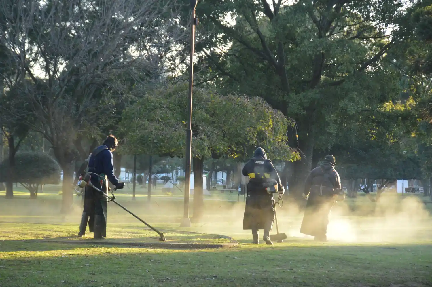 Corte de pasto en diferentes barrios.