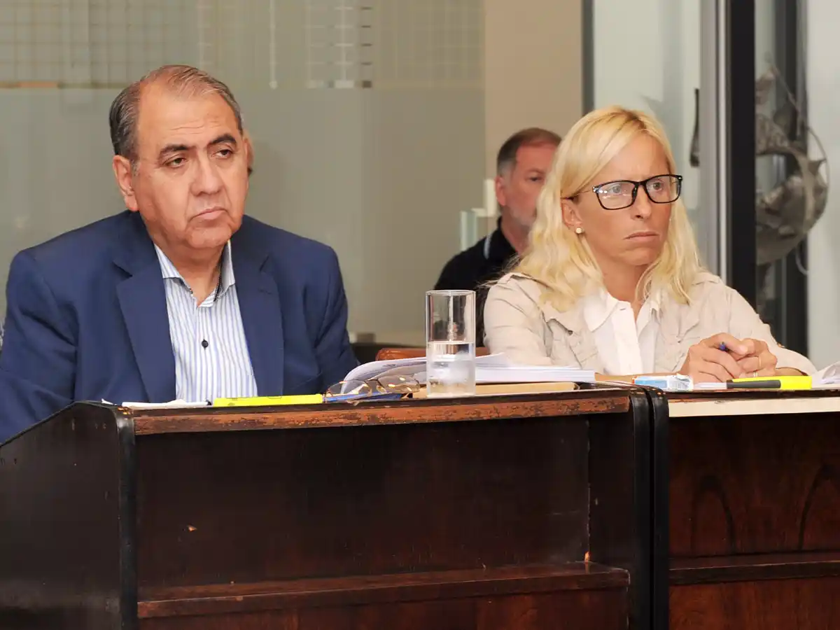 Proponen que las multas puedan consultarse online   