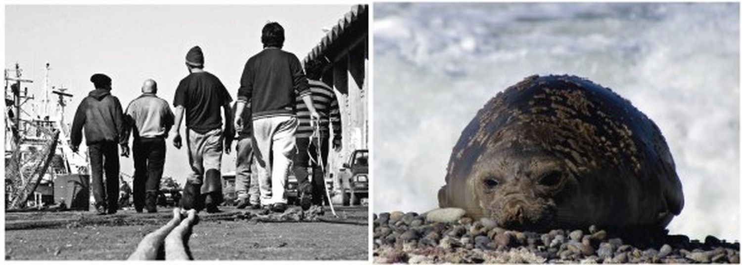 Concurso fotográfico “Historia de la pesca marítima Argentina”