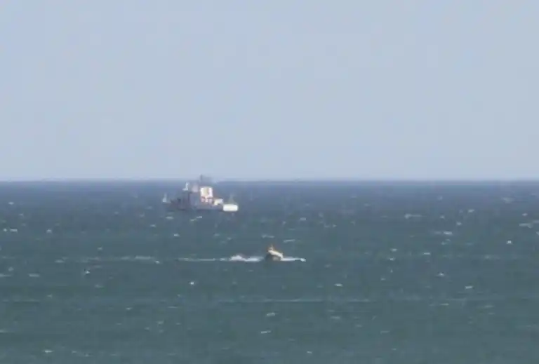 Hallaron un cuerpo en el mar, a 5 millas de la costa de Claromecó: resta confirmar si es Federico