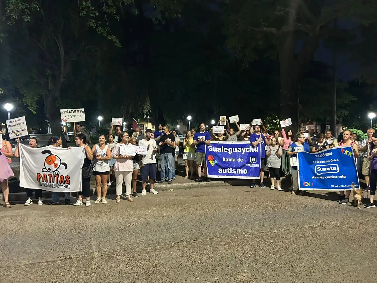 En fotos: Gualeguaychú marchó por el cumplimiento de la Pirotecnia Cero
