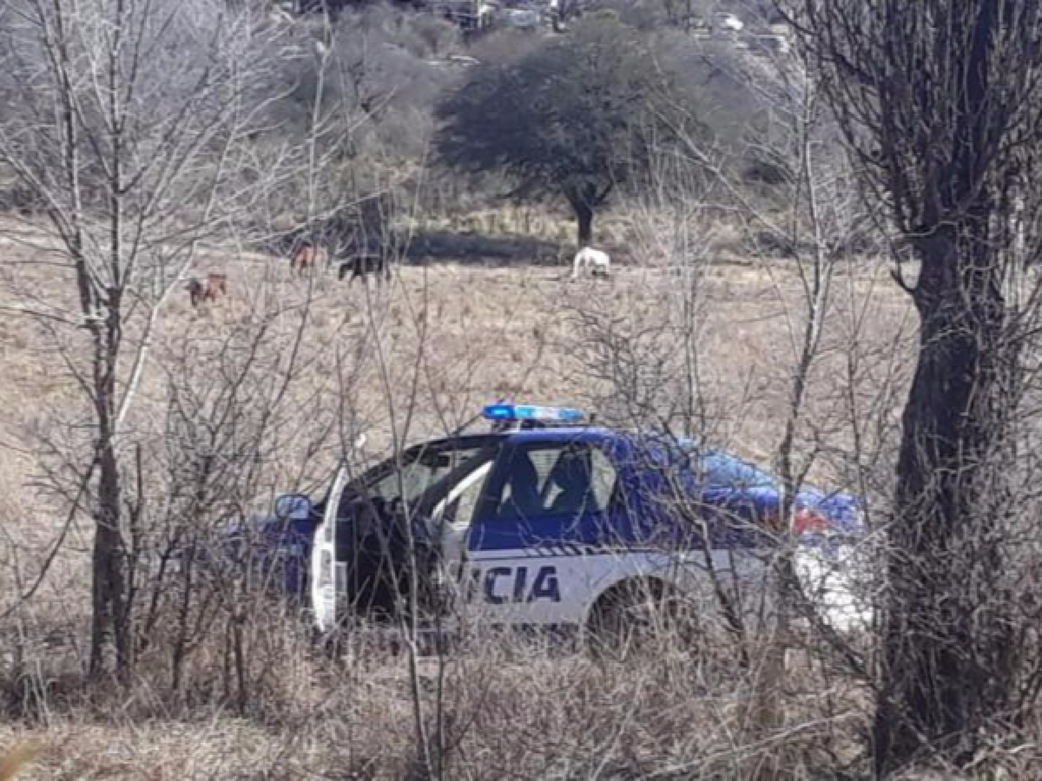 La pareja asesinada en Bialet Massé fue ultimada a balazos