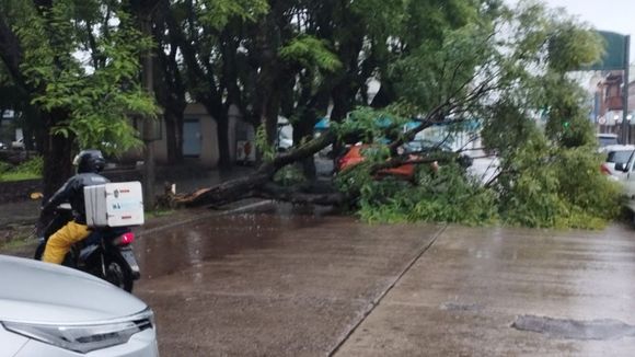 Temporal: el Servicio Meteorológico Nacional informó la continuidad de la Alerta Naranja