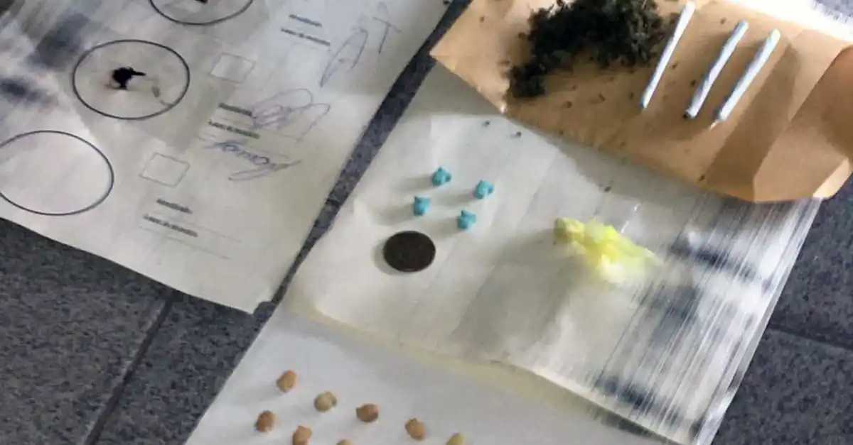 Incautaron cocaína, marihuana y éxtasis en los accesos a Mar del Plata