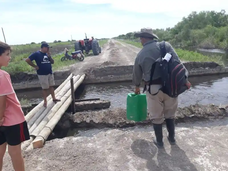 Los Amores: vecinos improvisan un puente con troncos