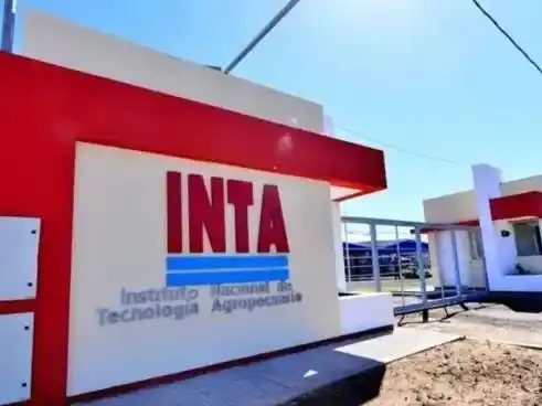 El Gobierno pasó a disponibilidad a 343 empleados de INTA, INASE y el INV
