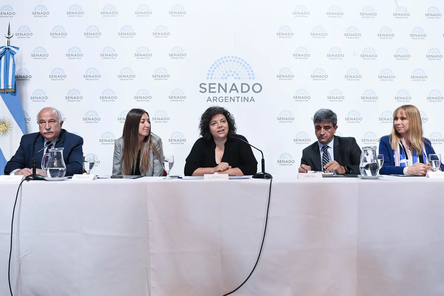 Junto a la ministra Carla Vizzotti, senadores presentaron el proyecto de ley.