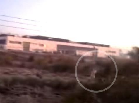 Aseguran que vieron un fantasma en Cañuelas