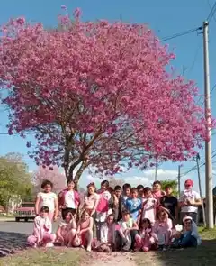 En octubre, “Gualeguay se viste de rosa”