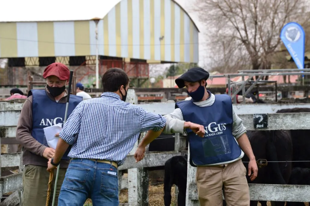 Se realizó la primera jura Angus de la Argentina bajo protocolo del Coronavirus