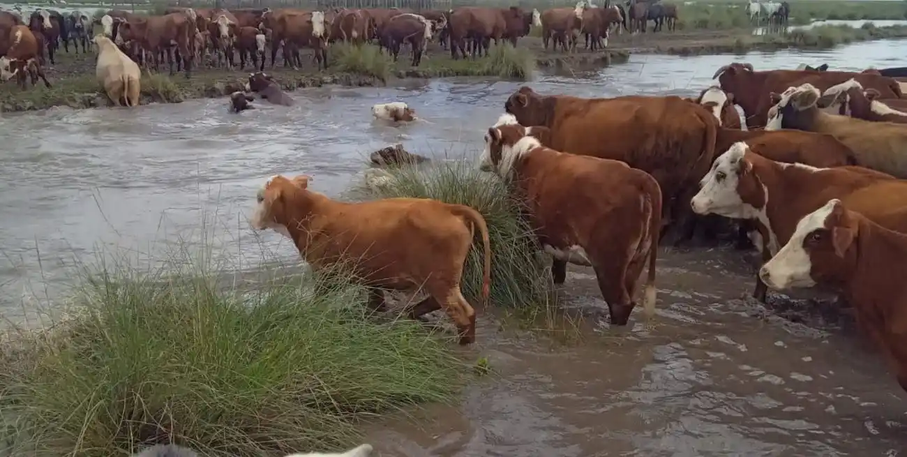 Panorama alarmante en el norte santafesino: reclamaron la activación de la emergencia hídrica y agropecuaria