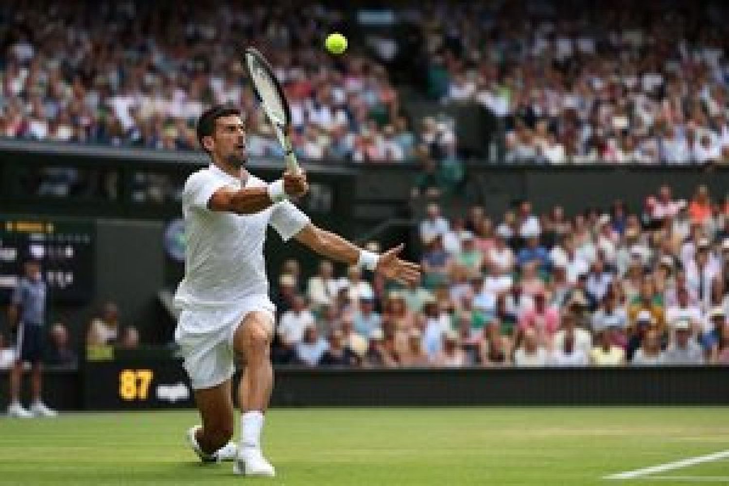 Alcaraz y Djokovic a cuartos de final