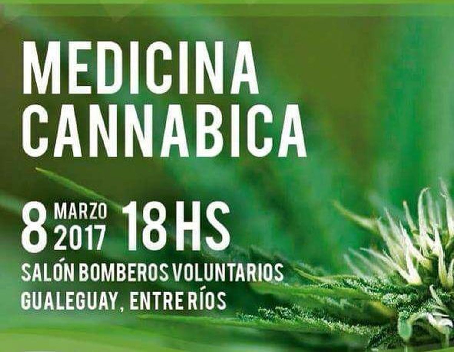 Seminario de Cannabis en la ciudad