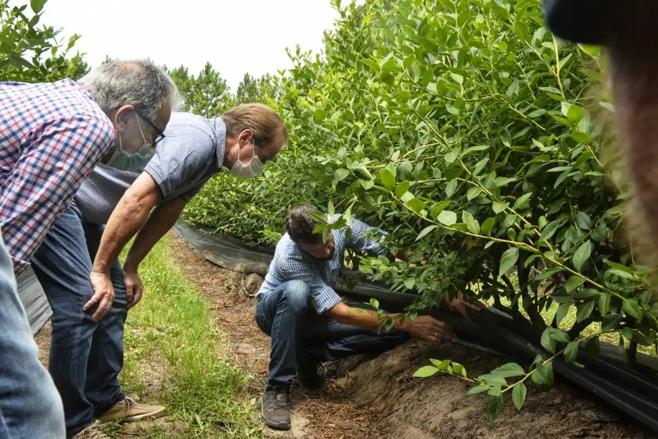 El gobierno entrerriano fortalece al sector productivo para aumentar la competitividad