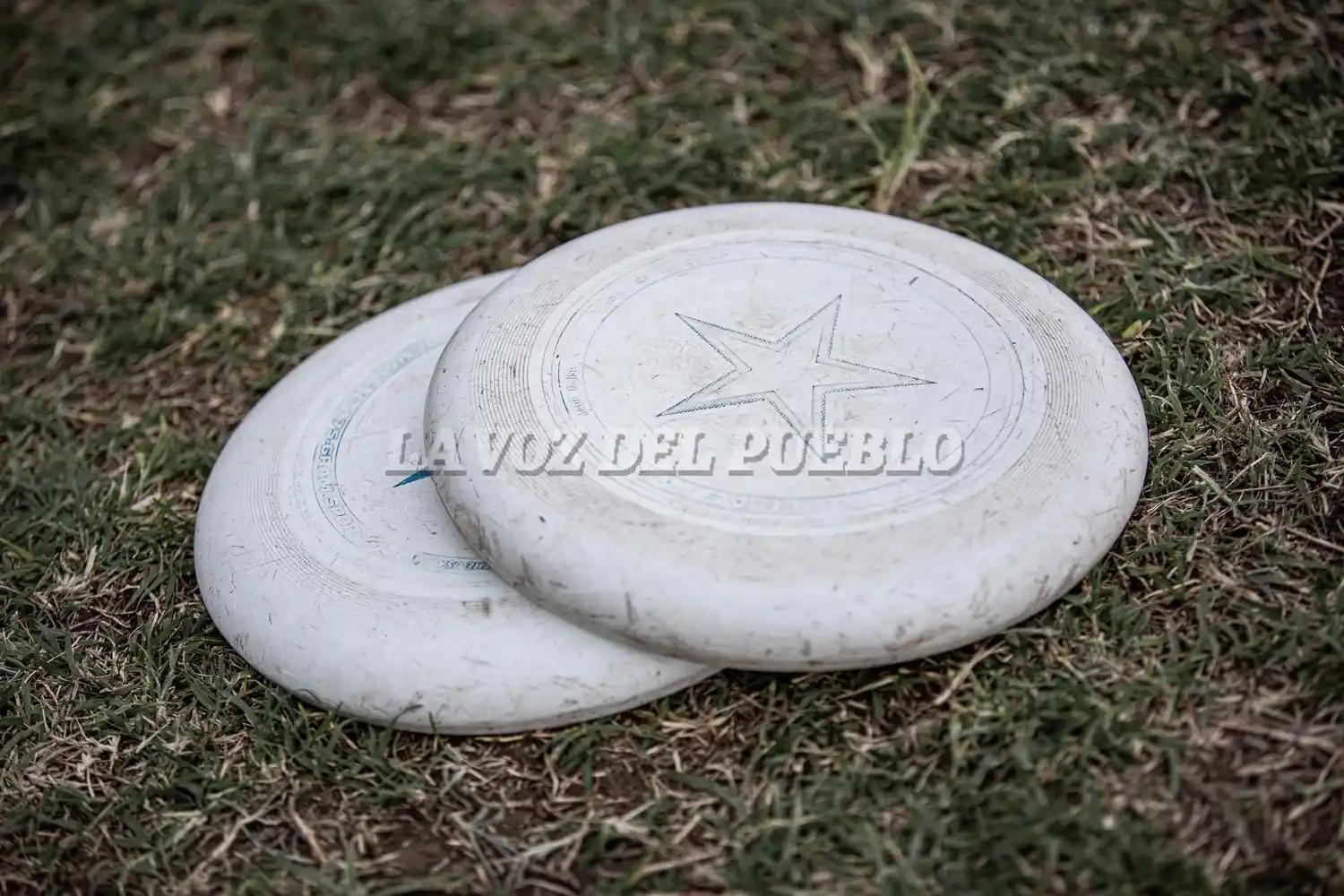 Esta mañana comienza la actividad del Nacional Mixto de Ultimate Frisbee en la cancha de Olimpo