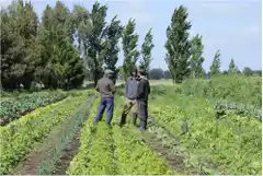 Buscan fortalecer a pequeños productores y promover la producción agropecuaria sustentable en la región