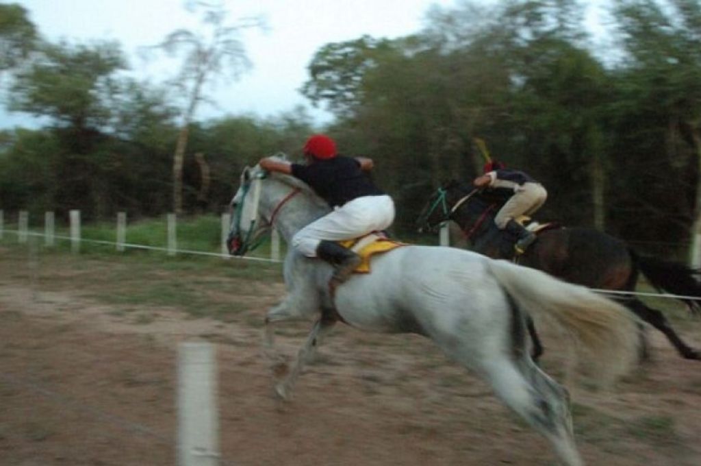 Los equinos sufrieron una sobreexitación y explotaron sus pulmones