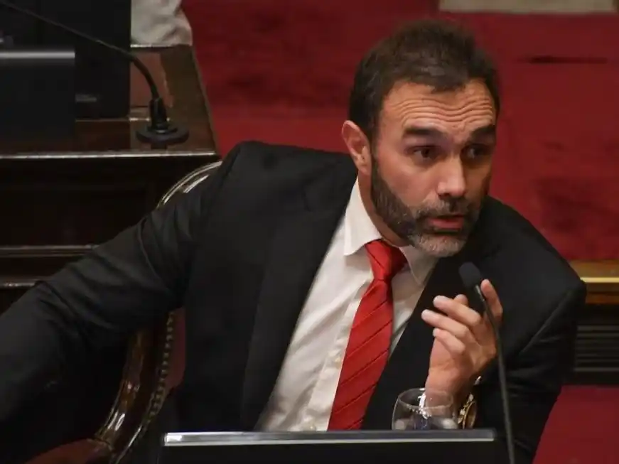 El interbloque peronista del Senado buscará firmar dictámenes de universidades y Garrahan