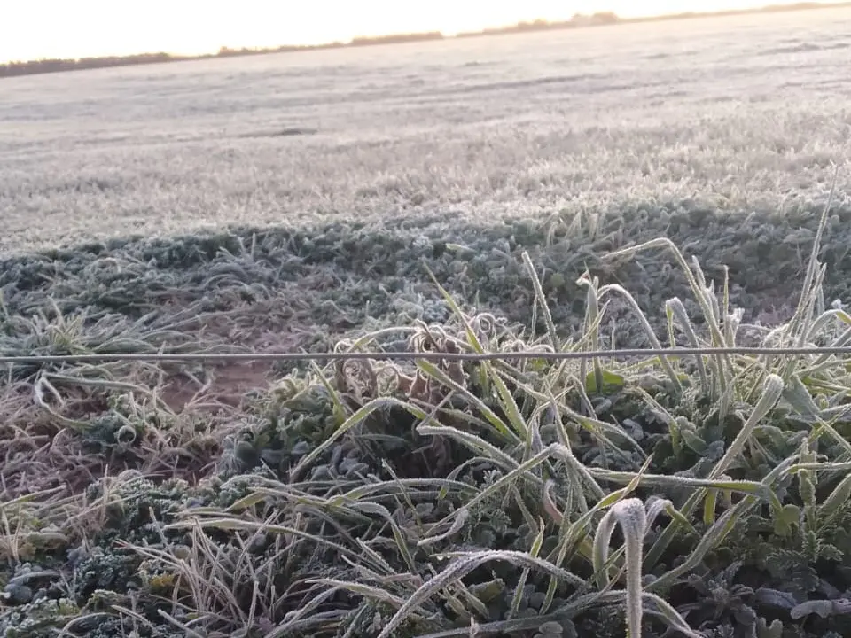 La ola polar produjo una baja importante en la temperatura de todo el país.