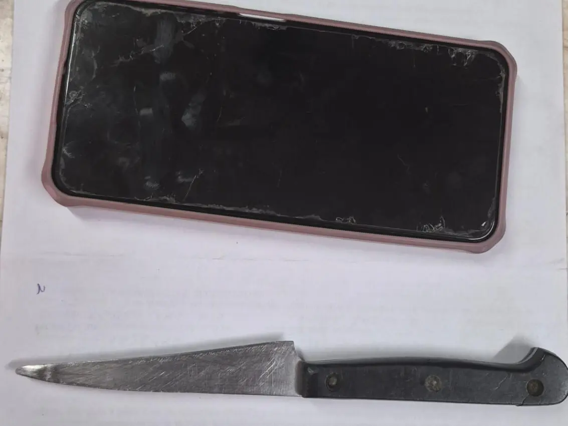 Detuvieron en Parque Urquiza a un hombre que se robó un celular