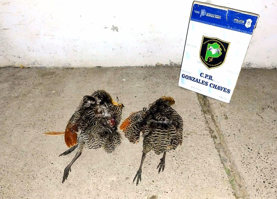 La Patrulla Rural Chávense detuvo a cazadores ilegales