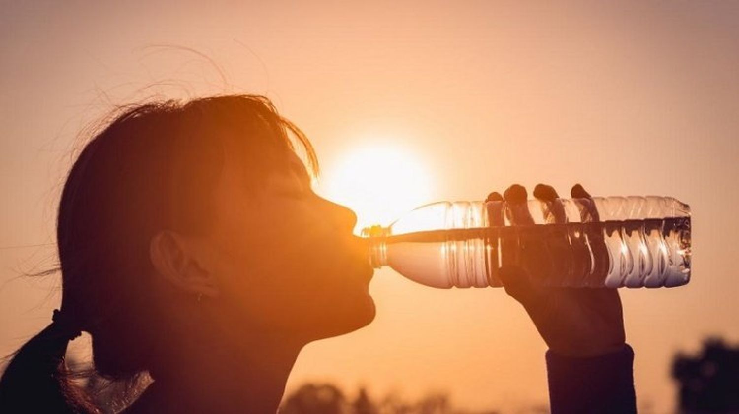 Alerta roja para Misiones, Corrientes y Formosa por altas temperaturas