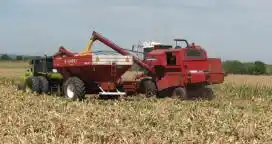 Por el dólar atrasado y la suba de los costos el productor pierde hasta u$s 30 por hectárea