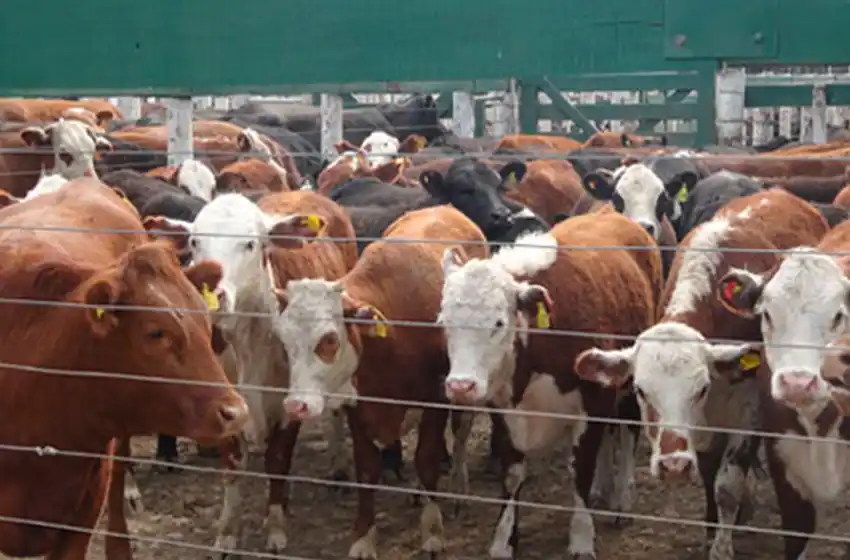 El campo no volverá a extender el paro pero la relación con el gobierno sigue tensa