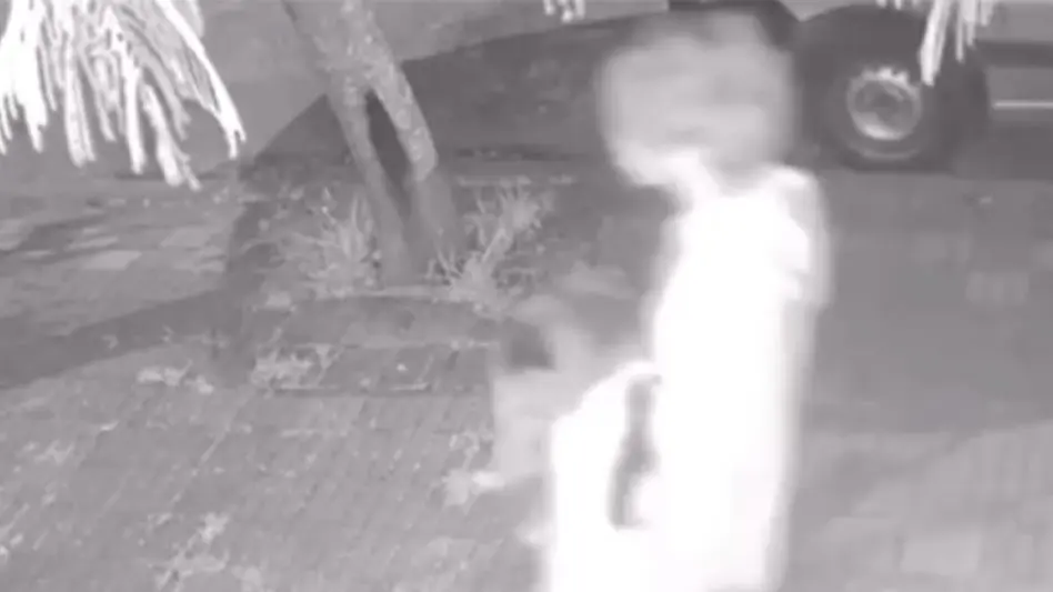 Imputaron al joven que mató animales en el barrio Parque Luro
