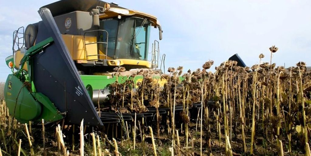 El impacto económico también fue significativo: en los primeros siete meses del año, el valor exportado totalizó 1.184 millones de dólares, un 35% más que en el mismo período de 2024.