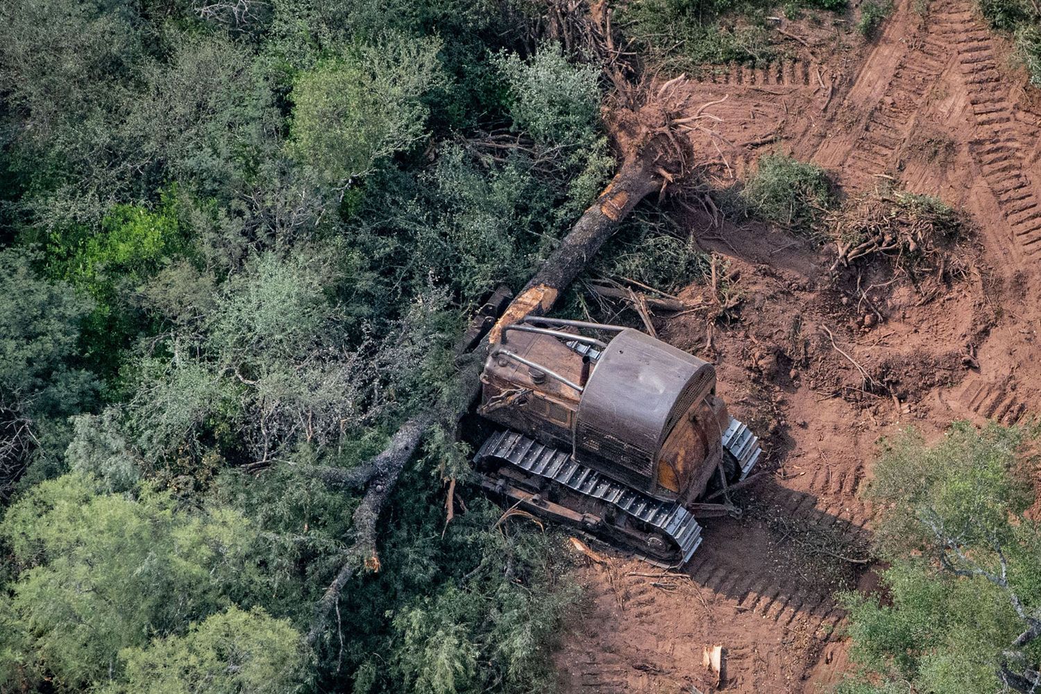 Argentina en default ambiental: Nuestro país ya consumió los recursos naturales que puede producir durante todo el año
