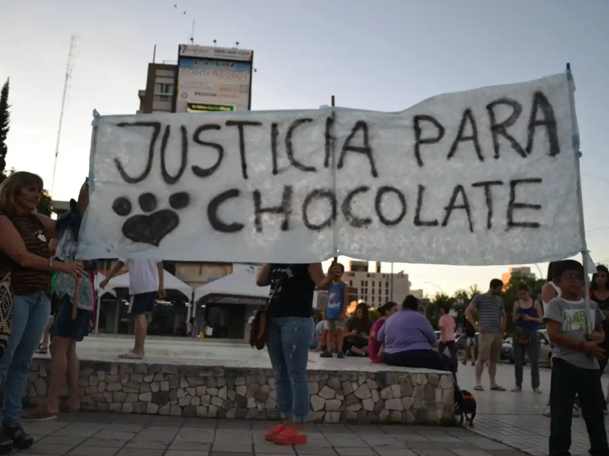 CÓRDOBA Y COSQUIN TAMBIÉN SE MOVILIZARAN POR EL CASO CHOCOLATE