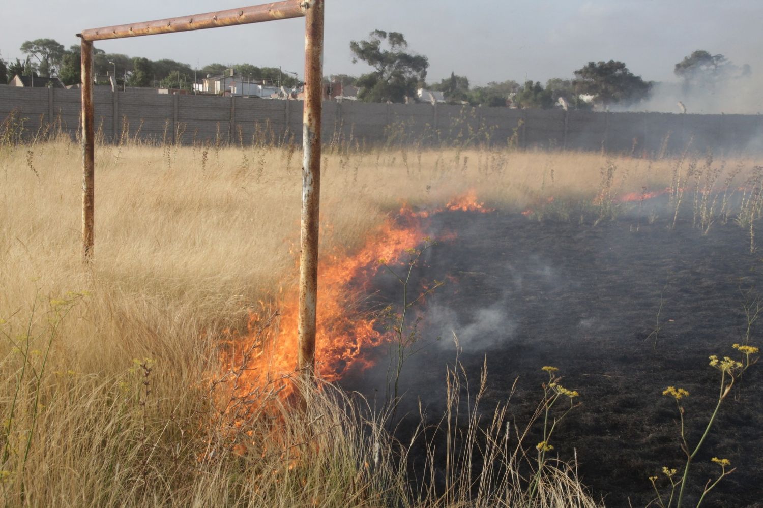 Incendio en el sector