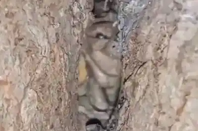 ¿Es real?: el”duende cordobés”, el video viral de TikTok del que todos hablan