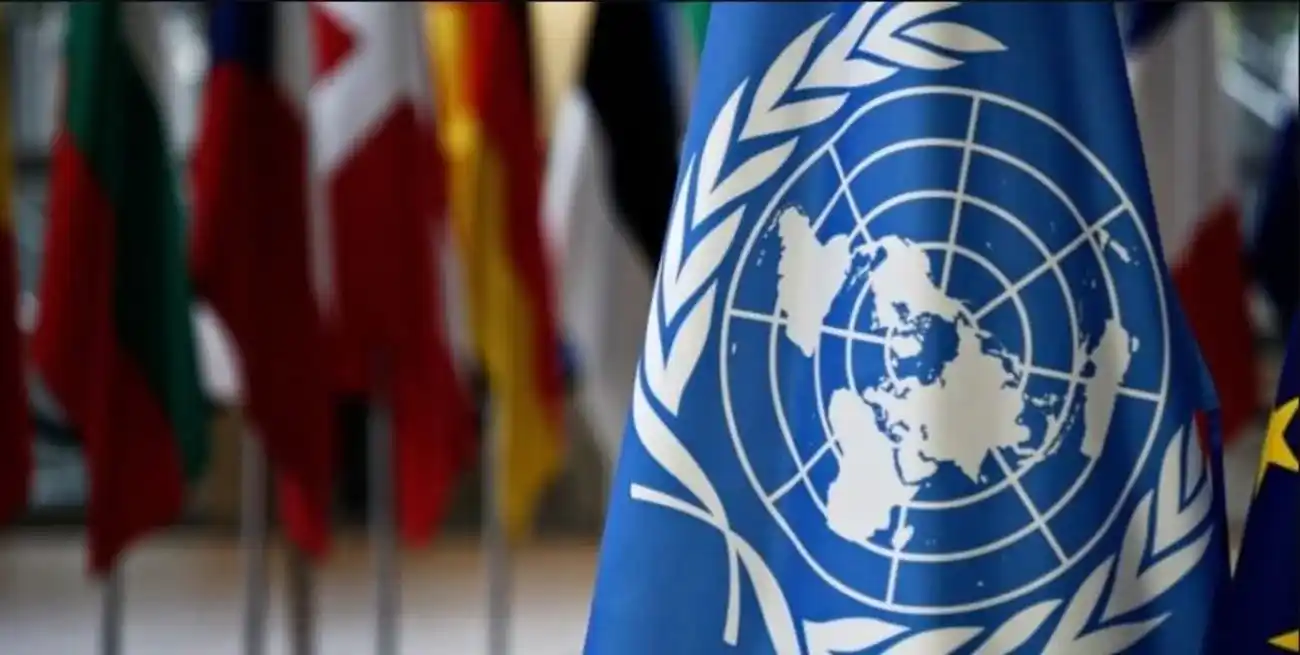 Argentina fue el único país de la Asamblea General que no quiso suscribir el pronunciamiento de la ONU para la protección de los derechos de mujeres, niñas y pueblos originarios.