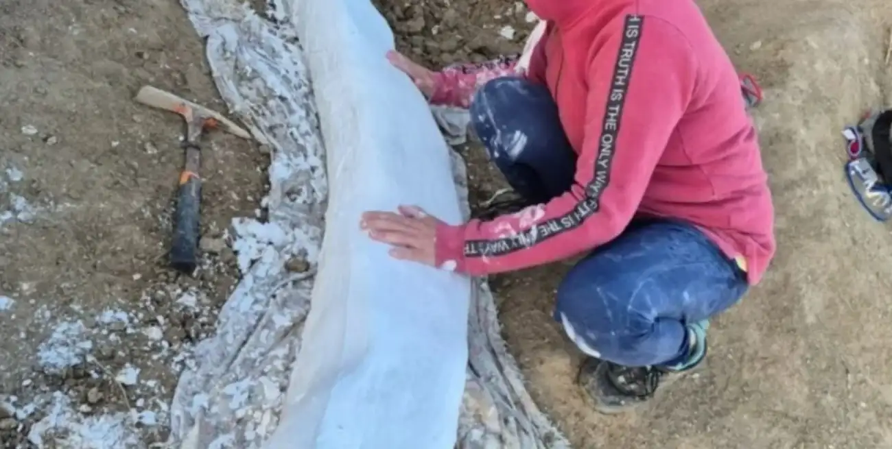 Este tipo de hallazgos permite a los científicos reconstruir aspectos de la vida prehistórica en la región