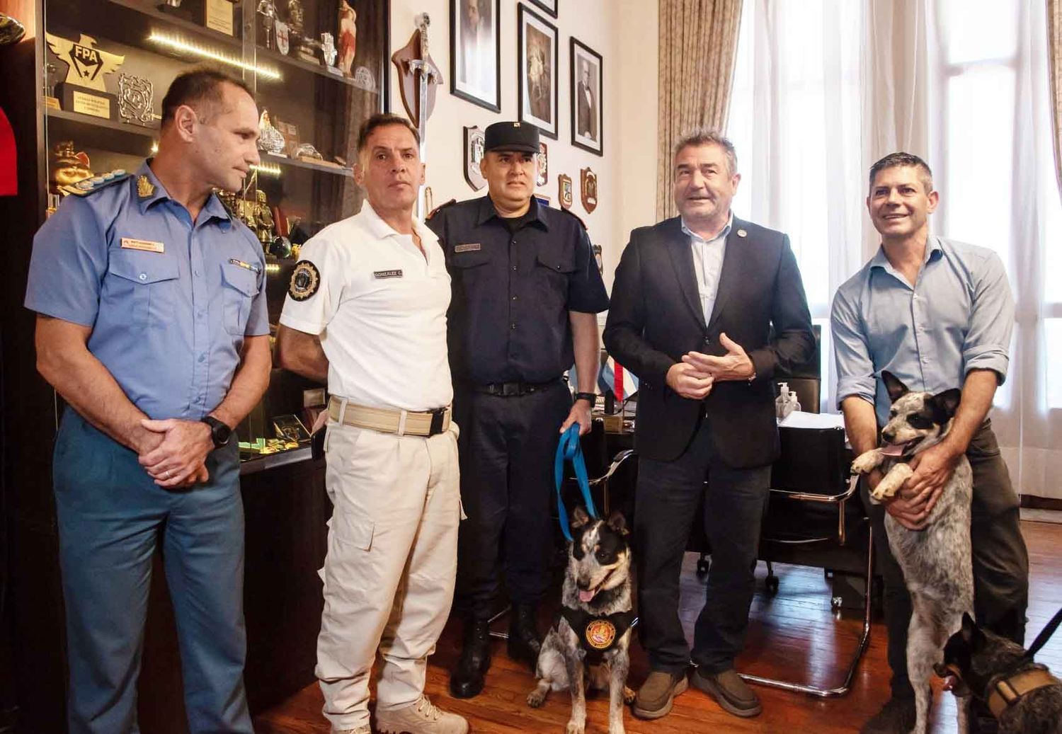 Incorporan perros a la Policía y el Servicio Penitenciario