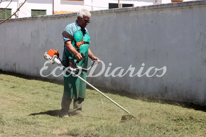 No hay casos de hantavirus en Necochea, pero piden prevención