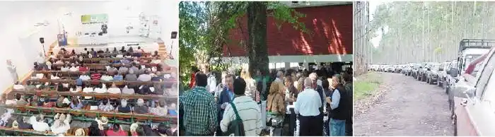 Se vienen las tradicionales Jornadas Forestales de Entre Ríos 2020