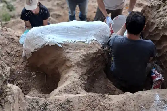 La provincia anunció un importante hallazgo paleontológico en la región