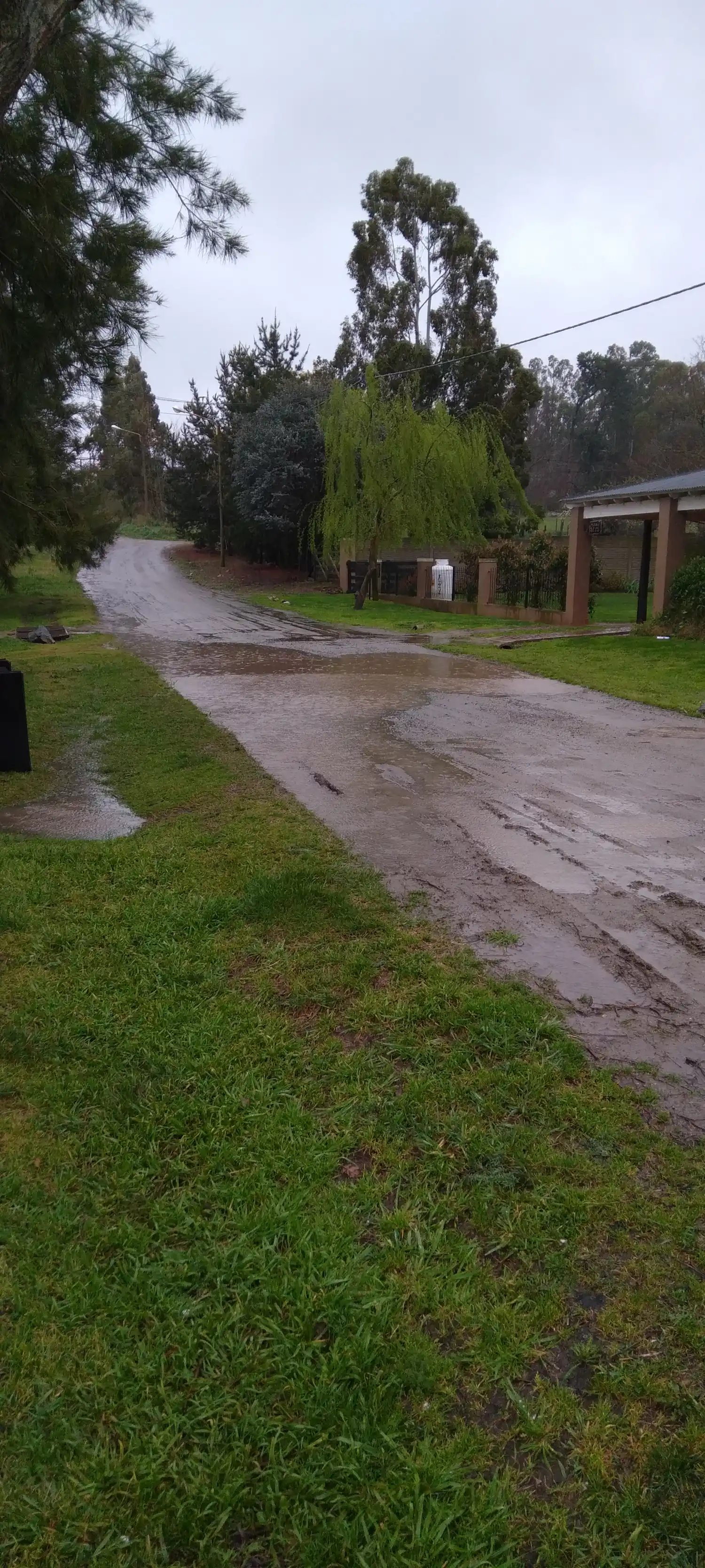 Calle sin mantenimiento