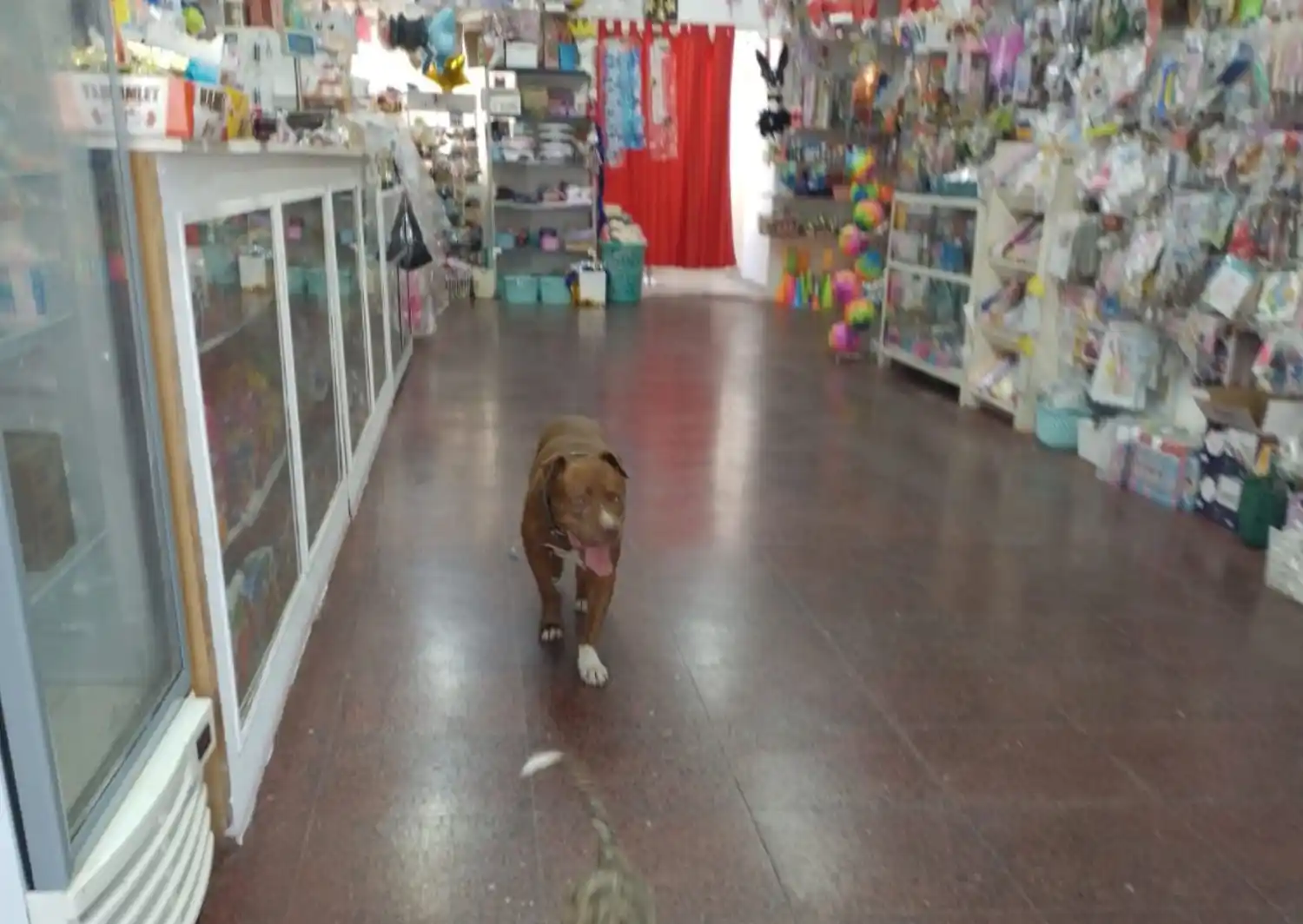 Vecinos reportan por perro que muerde en 3 de Febrero y Almafuerte