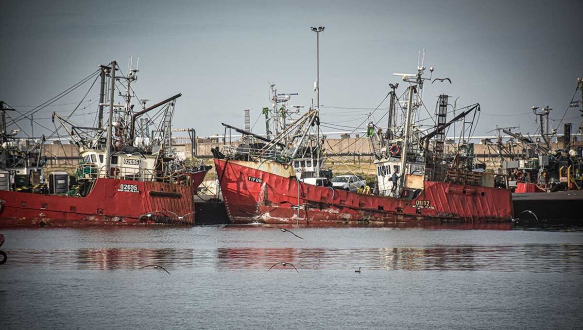 Flota fresquera de Mar del Plata.