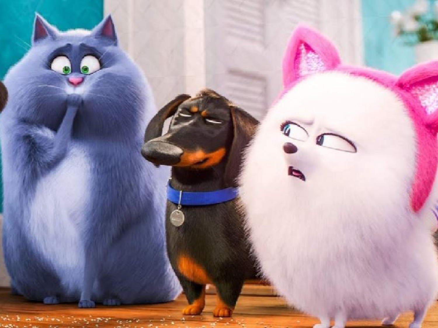 Función distendida en el cine Radar
