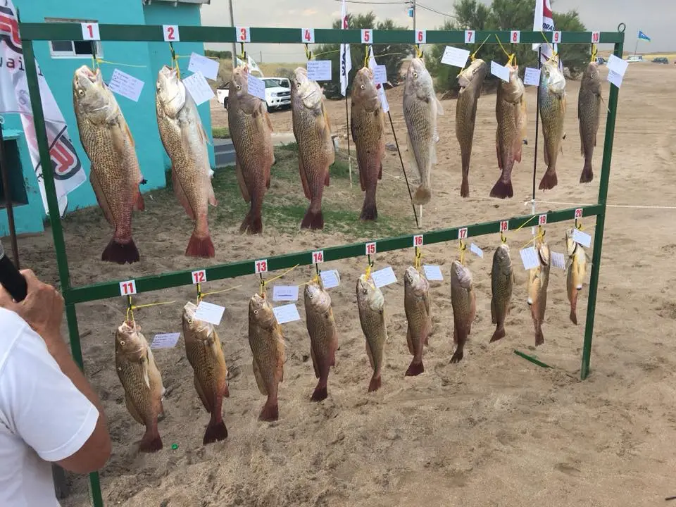 Matías Guaresti, entre los diez primeros del concurso de pesca de San Cayetano